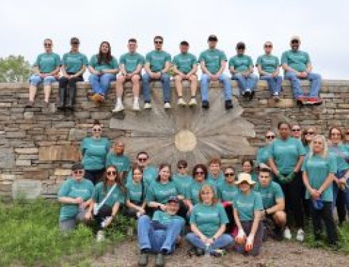 Volunteering at the Catherine Violet Hubbard Animal Sanctuary